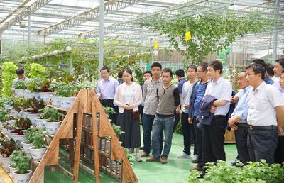 通渭縣新進(jìn)鄉(xiāng)鎮(zhèn)領(lǐng)導(dǎo)班子成員開展新材料技術(shù)推廣服務(wù)觀摩學(xué)習(xí)活動(dòng)